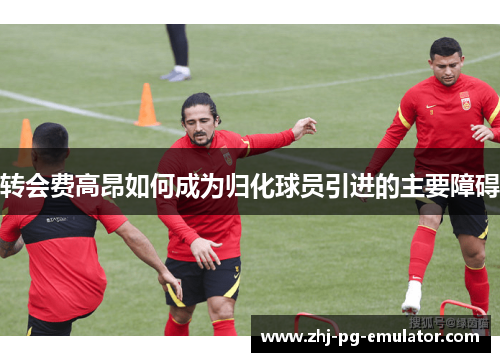 转会费高昂如何成为归化球员引进的主要障碍 转会费高昂如何成为归化球员引进的主要障碍