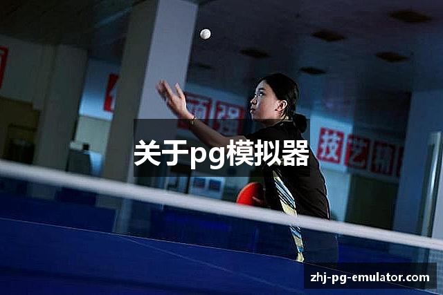 关于pg模拟器